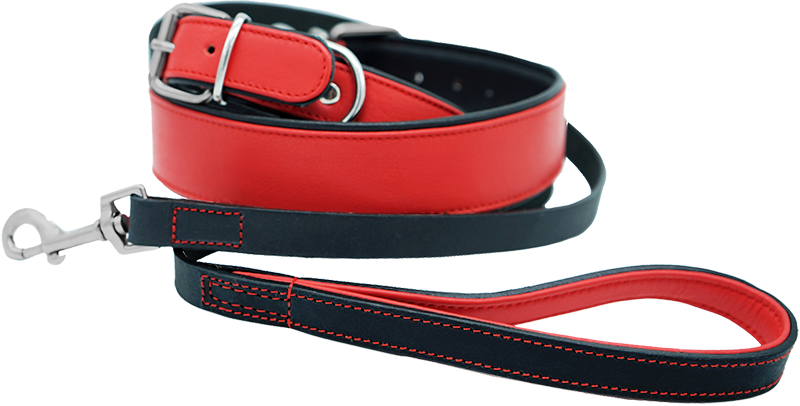 Cv Ag souprava w pgn_1